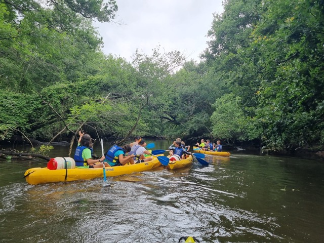 82f4dada 7c3b 4ddd bf55 1ce56417eb7d