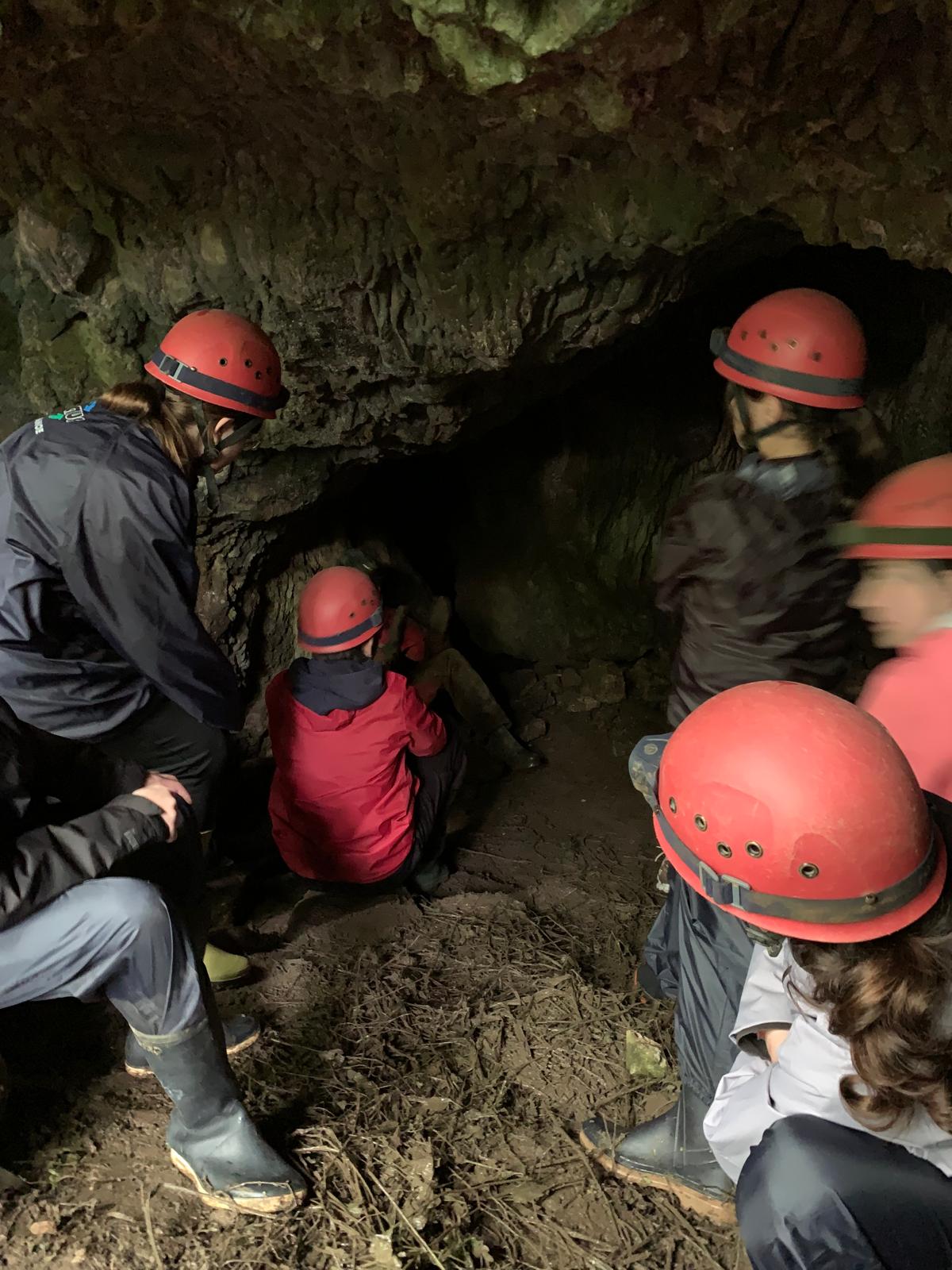 a2da755e 47b0 4be2 b7d7 e369a6e49e8b