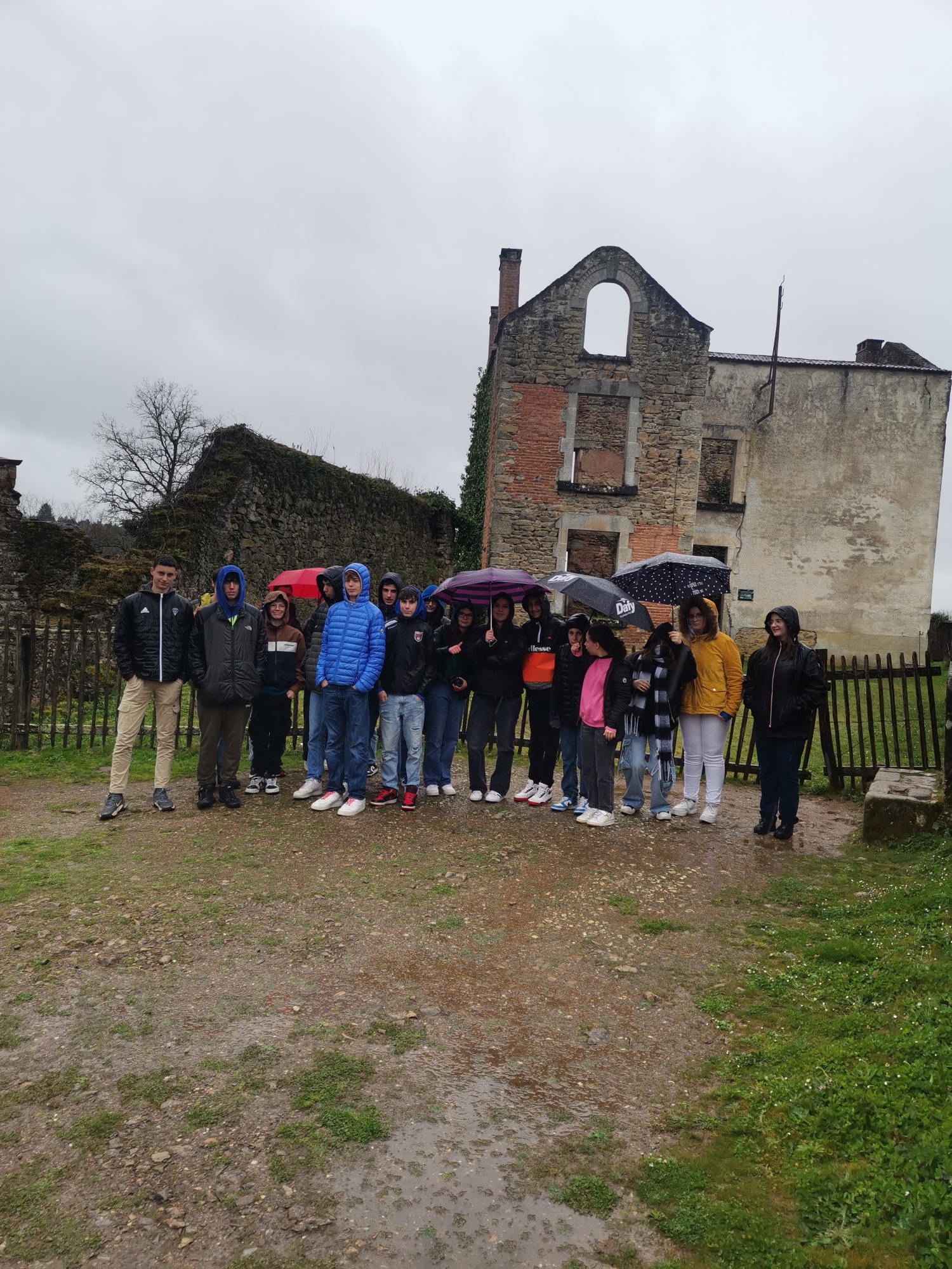 IMG 20240326 133928 resized 20240402 034840475